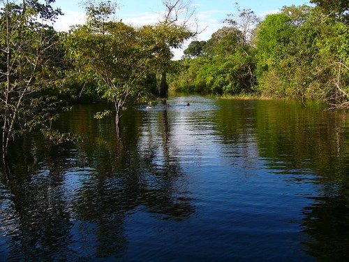 Amazonas - Peru