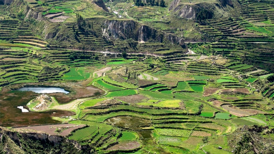 AREQUIPA - PERU - terrazas